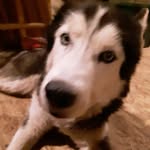 kiley_oliver 10 - @kileyolive6 - Instagram