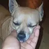 theylovekp417 - @kiley.powell5 - TikTok