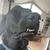 Kiley Schroeder - @kiley.schroeder0 - TikTok