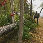 Kilebo trähantverk - @kilebo_ - Instagram