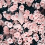Kiley - @kiley_webers - Instagram