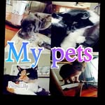 Kiley Wood - @kw_lovesdogs_4life - Instagram