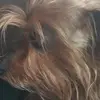 Killian Lee - @killian.lee00 - TikTok