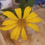 @kima.breu - Instagram
