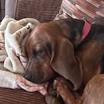 Kim Acton - Facebook