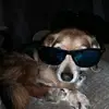 user4610669109935 - @kim_acton - TikTok