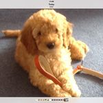Kim Aitken - @kja_13 - Instagram