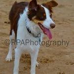 Kim Aitken - @kim.aitken.792 - Instagram