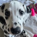 Kim Aitken Lmt - @kim.aitken.14 - Instagram