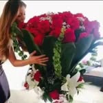 Kima Ker - @kima.ker.568 - Instagram