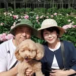増原 節子 - @kimamatoday - Instagram