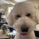 Kim Collister Amato - @kimcoll15 - Instagram