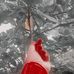 Kim Angle - Facebook