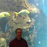 K.I. Mannis - @k.i.mannis - Instagram