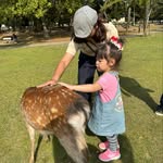 Kim Chow - @kimanson - Instagram