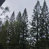 Kim Manson - @kim.manson - TikTok