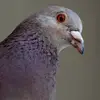 kimanson279 - @kimanson279 - TikTok