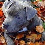 Kim Appleton - @happykimkim1236 - Instagram