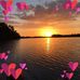 Kim Appleton - Facebook