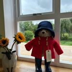 Kim Appleton - @symons3605 - Instagram