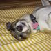 Kimberly Armstead Knapp - Facebook