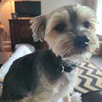 Kim Arney - @momma_kim0001 - Instagram