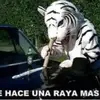 Kim Martinez - @kimartzz - TikTok