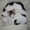 kimashmore2 - @kimashmore2 - TikTok