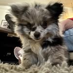 Kim Aue - @aue_sum - Instagram