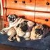 Kim Augustine - Facebook