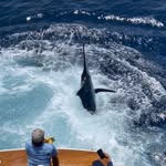 Mario Kim Aviles - @kim_mario_kim - Instagram