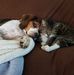 Kim Ayres - Facebook