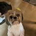 Kim Bade - Facebook
