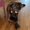 Kim Baer - @kim.baer4 - TikTok