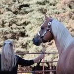 Kim Baerg - @kimbaerg - Instagram