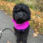 Kim Barden - @kimakalouise - Instagram