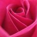 Kim Barth - Facebook