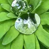 Kim Bartley - @kim.bartley8 - TikTok