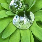 Kim Bartley - Facebook