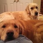 Kim Bartley Simmons - @kbsimmo - Instagram
