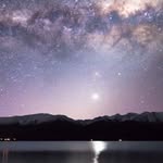 Lilly - @kim.bassot - Instagram