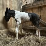Kimberly Baucom - @baucom812 - Instagram