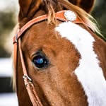 Kim Baugh - @basebaugh - Instagram