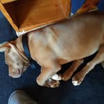 Kim Baugh - @kim.baugh.779 - Instagram