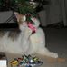 Kim Beal - Facebook
