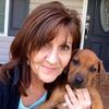 Kim Beal - @kimbeal - TikTok