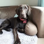 Kim Bean - @kim.bean.7 - Instagram