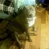 Kim Bean - @kim.bean1 - TikTok