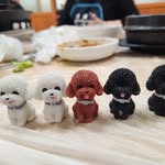 킴배츄🥬 - @kimbeannew - Instagram