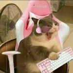 Kim - @kim_beaner - Instagram